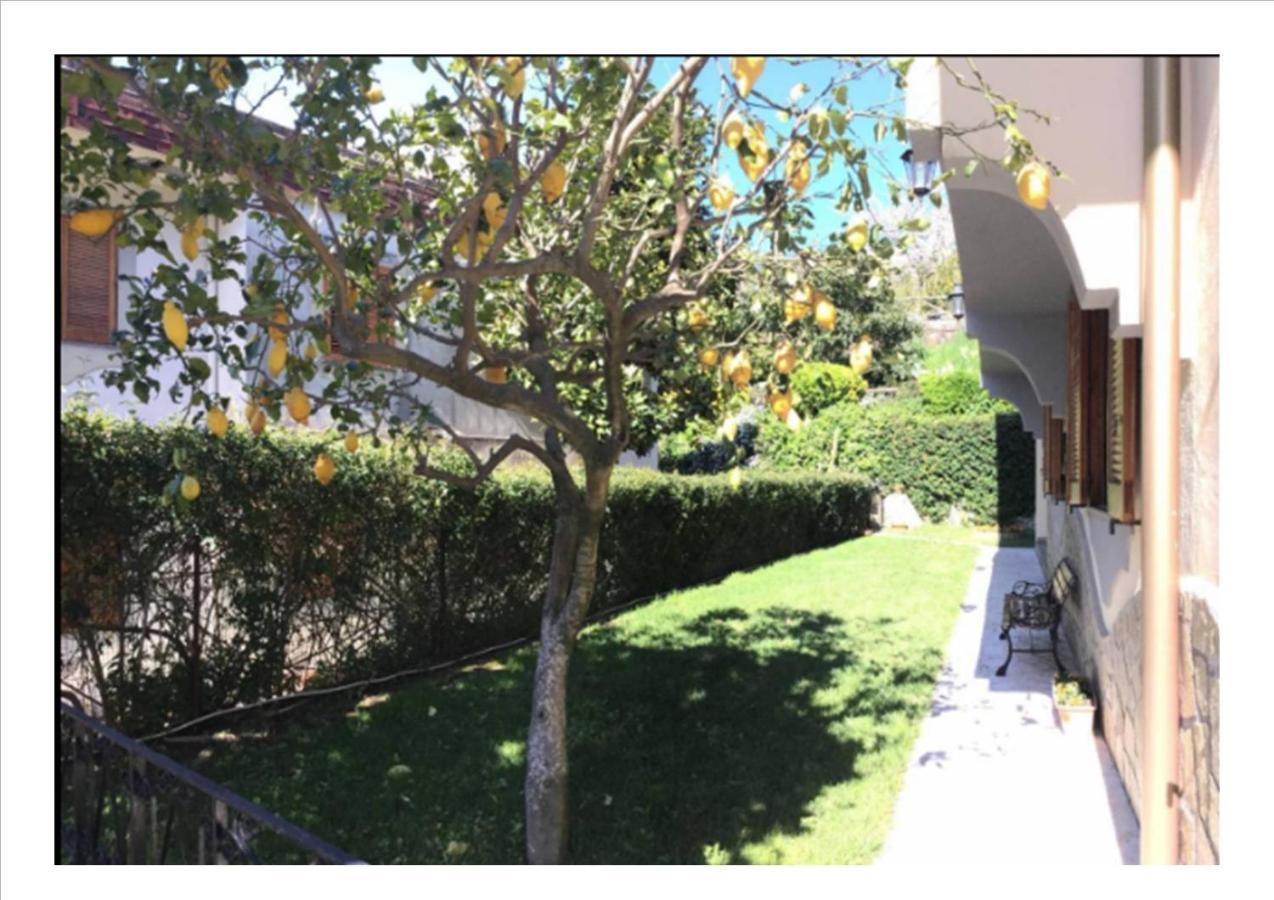 Villa Dei Fiori - Exclusive Villa With Garden In Sorrento Coast فيكو إيكوينس المظهر الخارجي الصورة